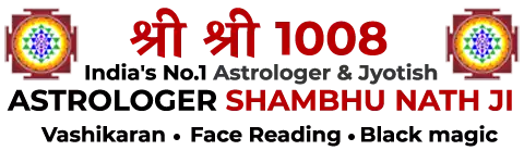 Astrologer Shambhu Nath Ji